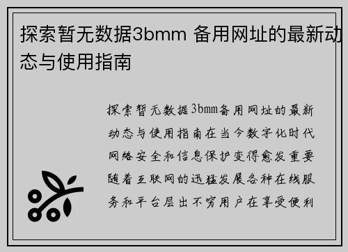 探索暂无数据3bmm 备用网址的最新动态与使用指南